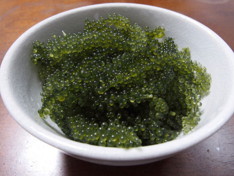 悪くはないがコスパは良くないと思う