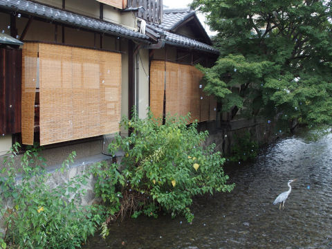 うまく撮れてない
