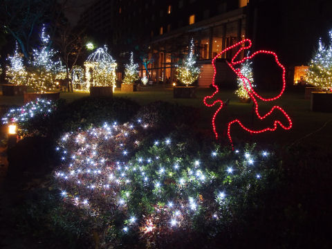 他にも撮ったけどイマイチだった