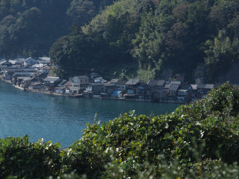 望遠持って来ればよかった