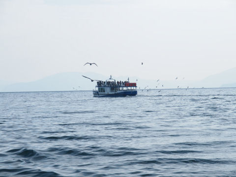 入れ違いの遊覧船