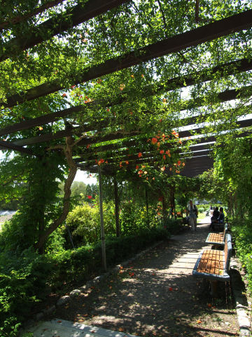 いい感じに日除け