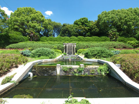 エキゾチックな池