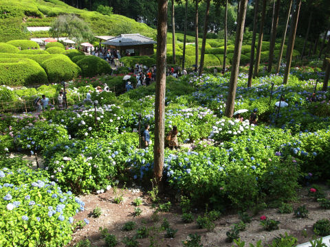 やはり土休日の昼間ははずすべきか