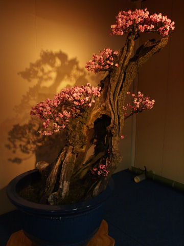 これも結構太い