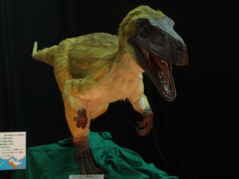 ヘルレラサウルス