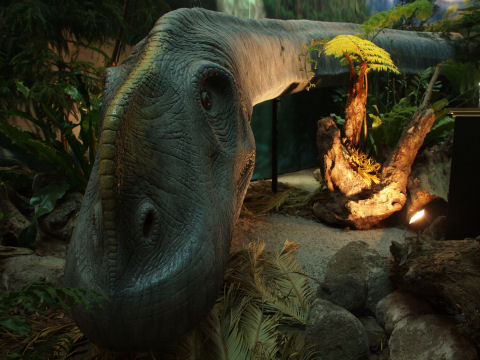 ブラキオサウルスの首