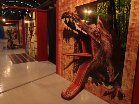 奥の方の人たちのように楽しむ