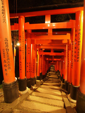 登ってきた道を振り向く