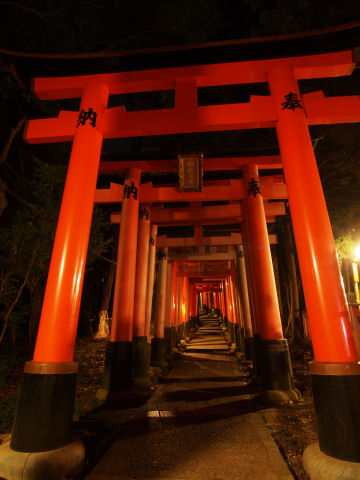 さらに参道は続く