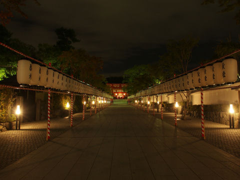 帰るときの撮影