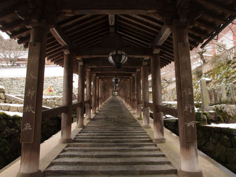 よし人がいない!