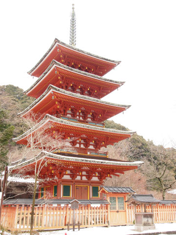 遠いと樹がジャマだし