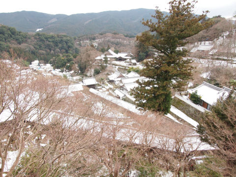 ホント雪景色だ