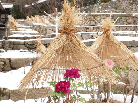 構図が相変わらず難しい