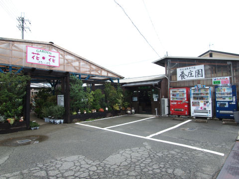 残念ながらピンボケ