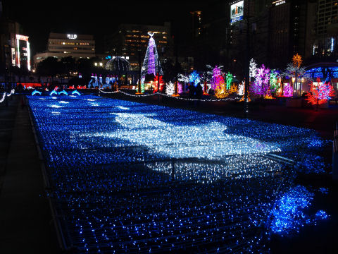 このでかいのがジンベエザメか