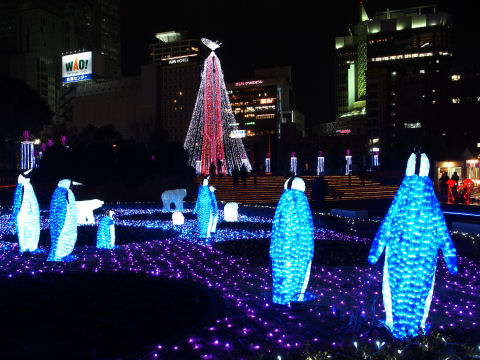 南極の動物はペンギンだけ