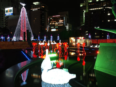 白鳥，フラミンゴ，パピヨン