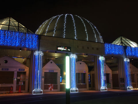 昼間に来たことはまだない