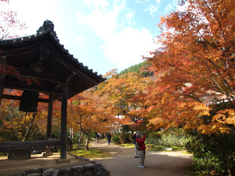 黄色がかってるけど