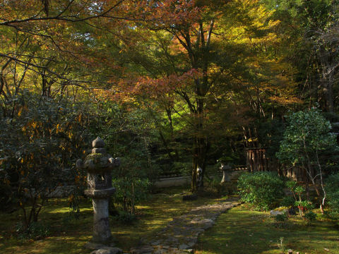 ここは色づいていた方