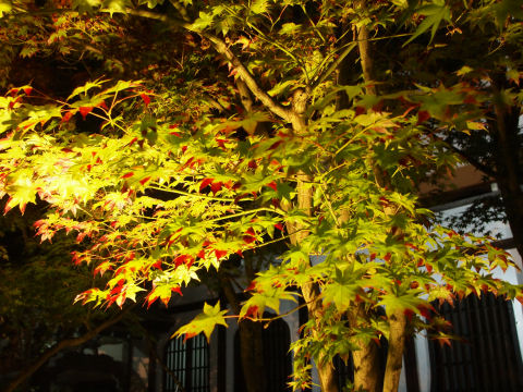 どうやったらこうなる？