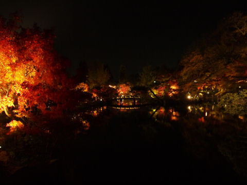 しかもブレてるし