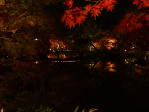 手ブレだけでなく被写体ブレもあると思う