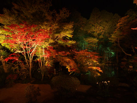 ちょっと左も撮影