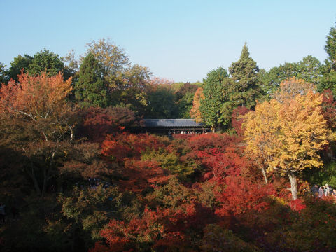 朝早いので陰多い
