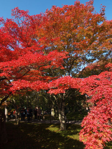 隣がトイレなのが残念