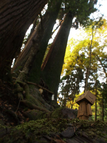 どうでしょこの構図