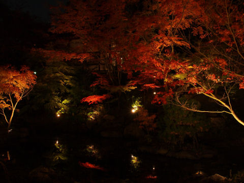 上の小屋は閉まってた