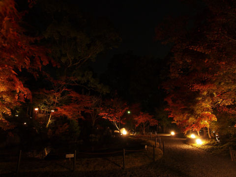 それなりに雰囲気あり