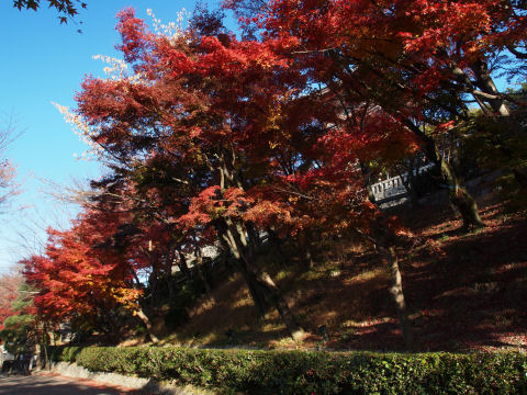 五重塔が後ろにある