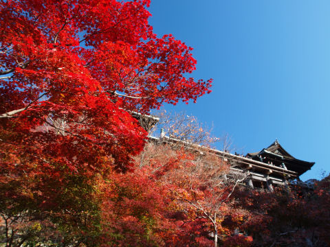 お寺を入れるのが難しい
