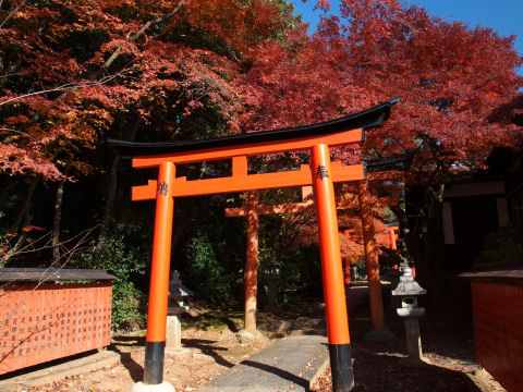 ただ撮影に邪魔なものが多い