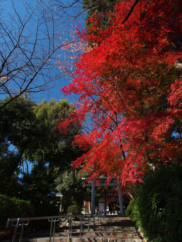 ほぼこれだけだけど