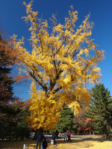 ここだけ人が集まる