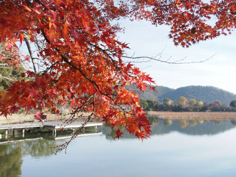 写真は真実を写さない