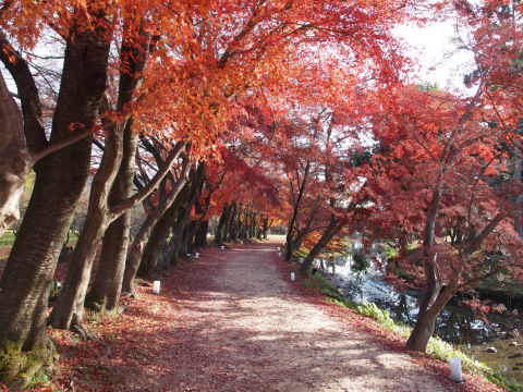 写真だけ見れば問題ない