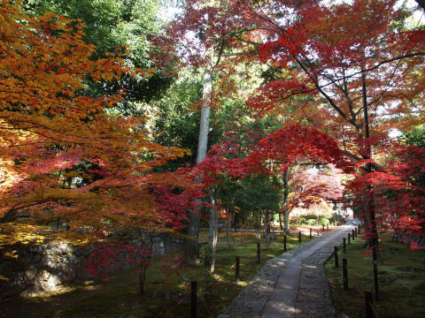 やはりストレートの方がいい
