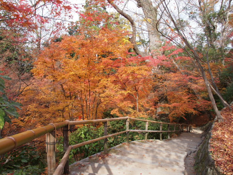 この階段へは立ち入れない