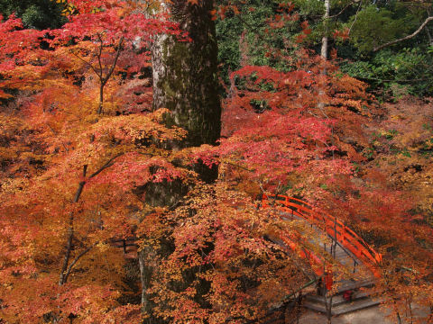 わりかしいい感じ