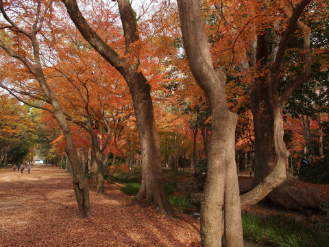 人はぽつぽついる