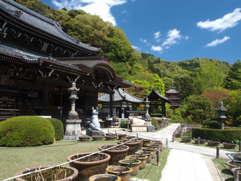 狛兎も宝勝牛も今回はパス