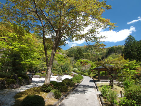 石庭自体はあんまり写ってなかった