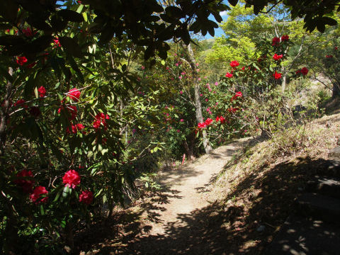 そして舗装もなくなる