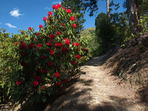 ここも手入れしている？